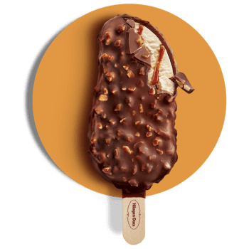 experience like no other